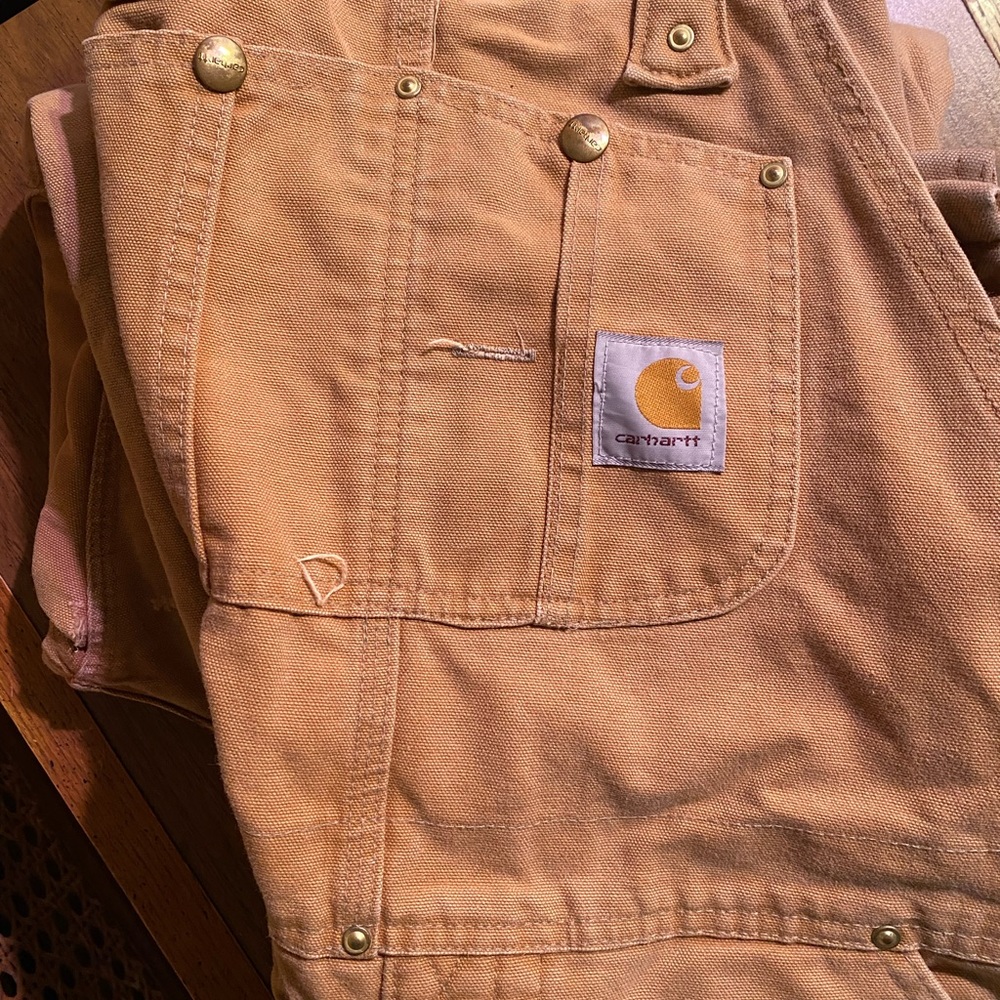 Carhartt Bibs